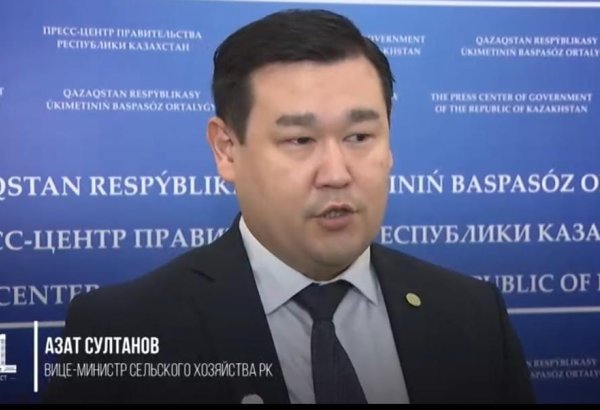Kazakhstan to ramp up wheat and meat deliveries to Europe through Russia