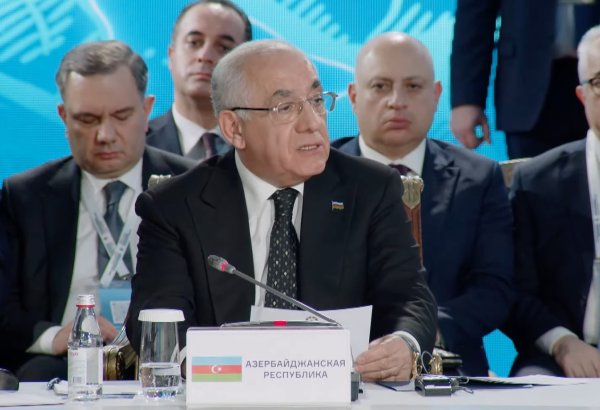 Azerbaijan's trade turnover with EAEU countries increases over year - PM