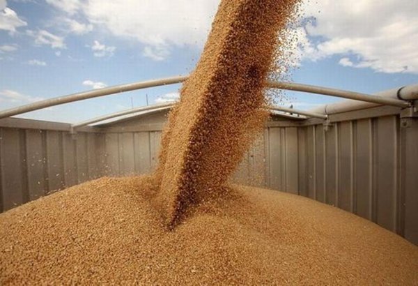 Kazakhstan’s Akmola region unlocks new gateway to Europe for grain exports