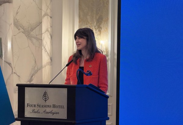 Azerbaijan boosting humanitarian, development assistance to other nations - UN official