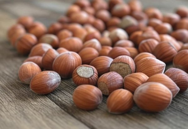 Azerbaijan sheds light on hazelnut export value for 2M2025