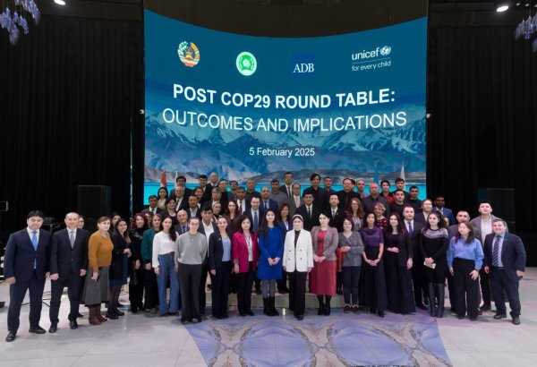 Tajikistan hosts roundtable to review Azerbaijan's COP29 outcomes