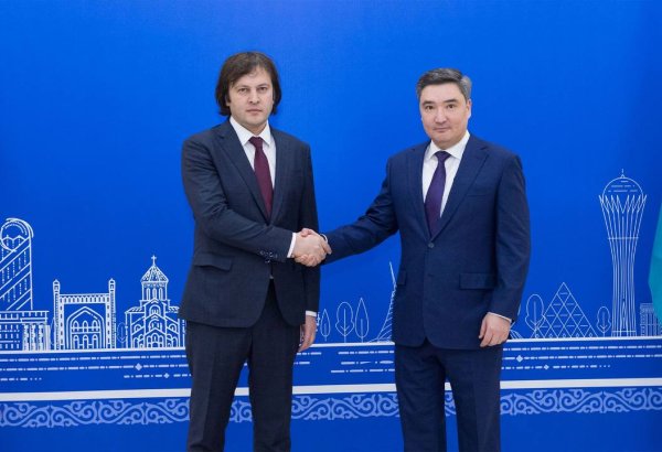 Kazakhstan, Georgia aim to gradually increase oil shipments via BTC pipeline