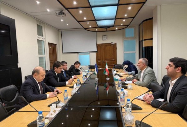 Uzbekistan, Iran discuss implementation of interregional transport, logistics projects