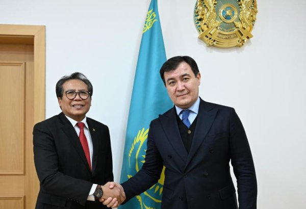 Kazakhstan, Indonesia see increase in trade turnover in 2024