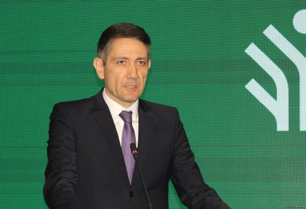 Azerbaijani youth struggling with low salaries in initial employment - official