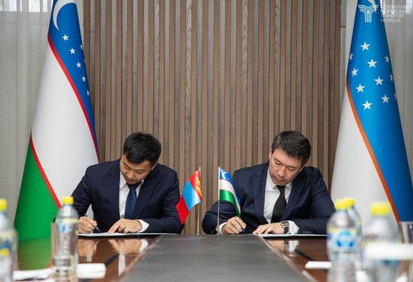 Uzbekistan, Mongolia seek to streamline freight permits digitally