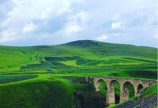 Part played by “German bridge” in Azerbaijan's success story detailed
