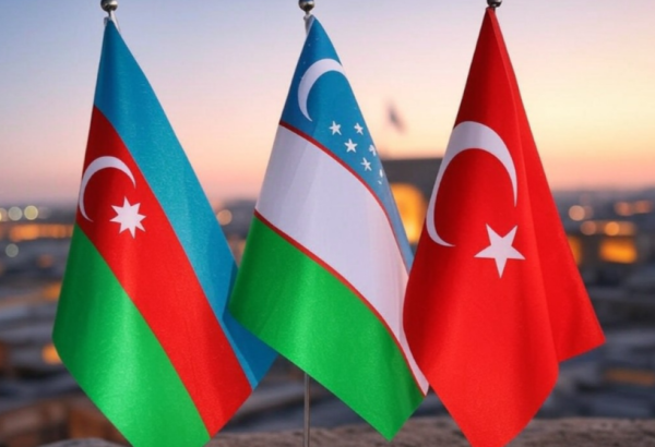 Azerbaijan, Türkiye ready to share their agricultural insurance know-how with Uzbekistan