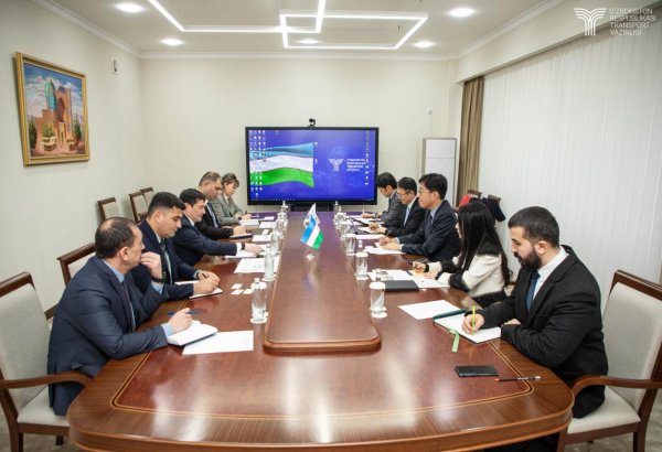 Uzbekistan, South Korea explore options for boosting aviation ties