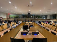 Azerbaijani MP Sevil Mikayilova addresses Organizational Committee of 15th Summit of Women Speakers of Parliament in New York (PHOTO)