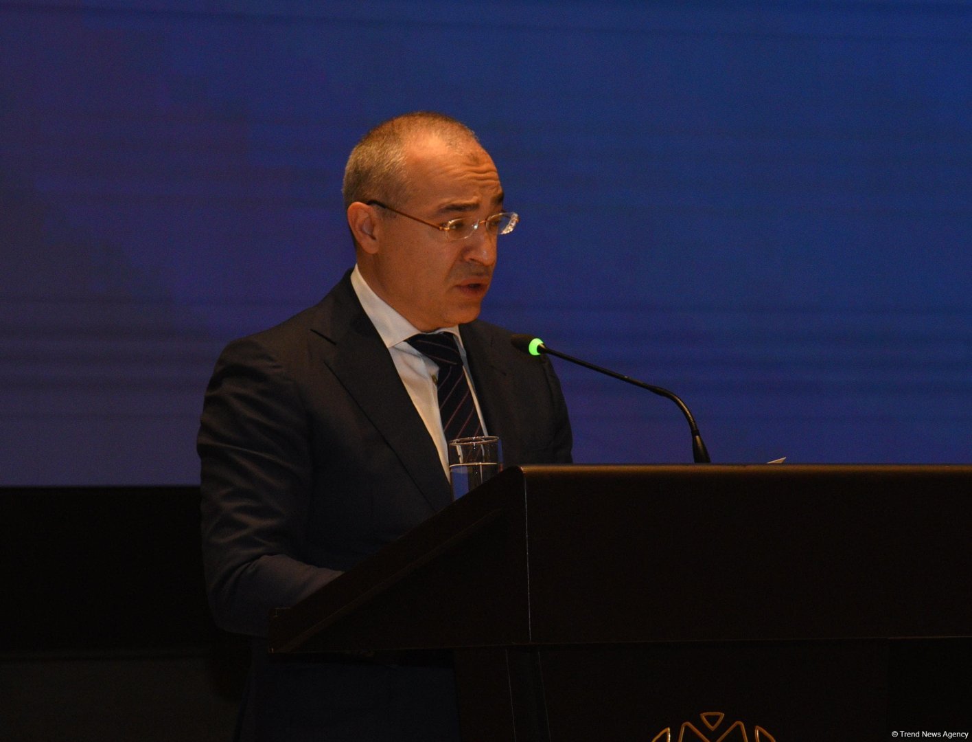 Diversification plays vital role in Azerbaijan's economic policy - minister