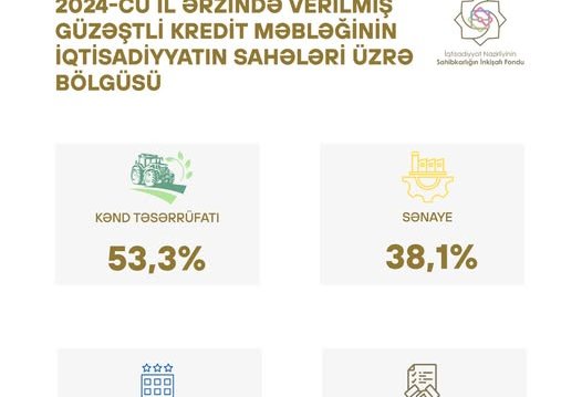 Azerbaijan designates lion's share of preferential loans to agricultural output in 2024