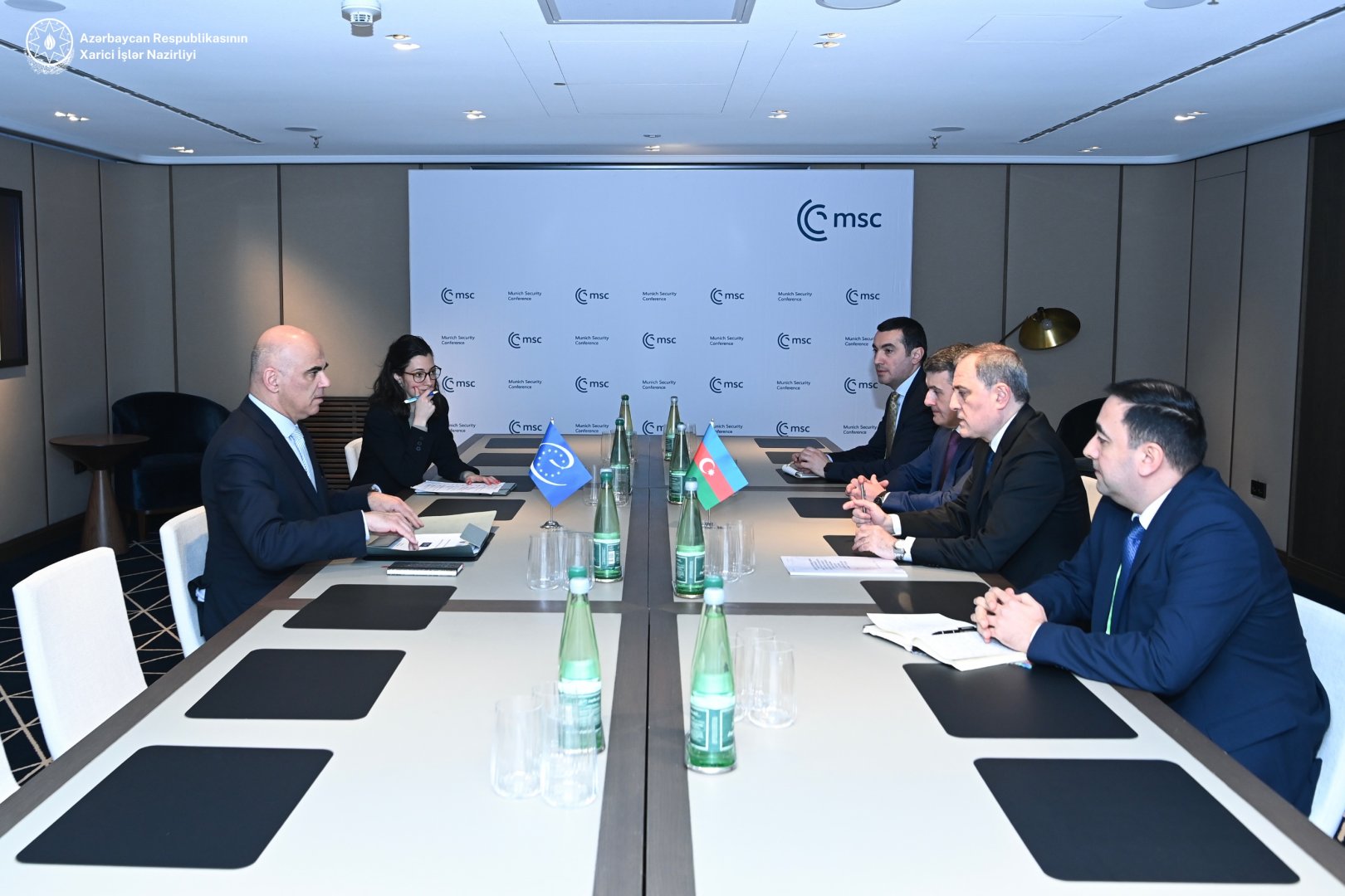 Azerbaijani FM, Secretary General of Council of Europe discuss current cooperation (PHOTO)
