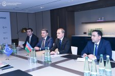 Azerbaijani FM, Secretary General of Council of Europe discuss current cooperation (PHOTO)