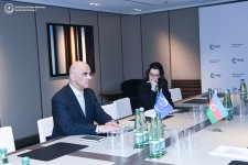 Azerbaijani FM, Secretary General of Council of Europe discuss current cooperation (PHOTO)