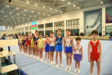Trampoline and tumbling championships kick off in Azerbaijan's Baku (PHOTO)