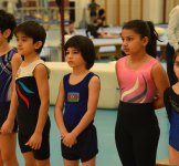 Trampoline and tumbling championships kick off in Azerbaijan's Baku (PHOTO)