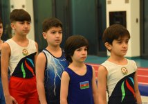 Trampoline and tumbling championships kick off in Azerbaijan's Baku (PHOTO)