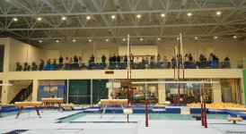 Trampoline and tumbling championships kick off in Azerbaijan's Baku (PHOTO)