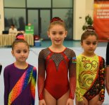 Trampoline and tumbling championships kick off in Azerbaijan's Baku (PHOTO)