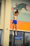 Trampoline and tumbling championships kick off in Azerbaijan's Baku (PHOTO)
