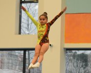 Trampoline and tumbling championships kick off in Azerbaijan's Baku (PHOTO)