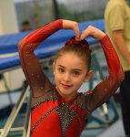Trampoline and tumbling championships kick off in Azerbaijan's Baku (PHOTO)