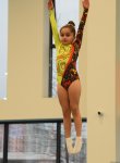 Trampoline and tumbling championships kick off in Azerbaijan's Baku (PHOTO)