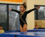 Trampoline and tumbling championships kick off in Azerbaijan's Baku (PHOTO)