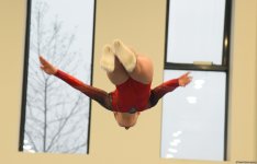 Trampoline and tumbling championships kick off in Azerbaijan's Baku (PHOTO)