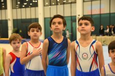 Trampoline and tumbling championships kick off in Azerbaijan's Baku (PHOTO)