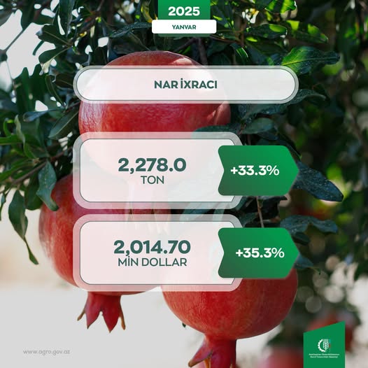 Azerbaijan tallies pomegranate exports for Jan. 2025