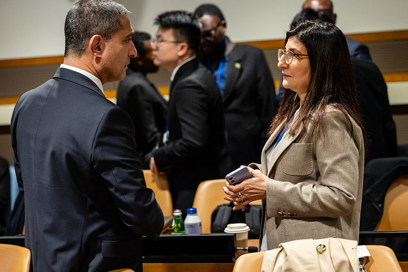 Azerbaijani MP Sevil Mikayilova delivers speech at UN hearings in New York (PHOTO/VIDEO)