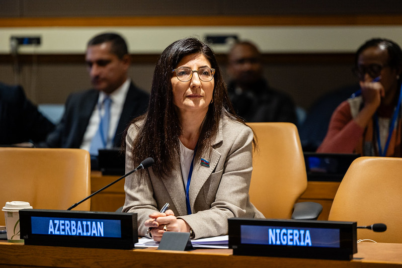 Azerbaijani MP Sevil Mikayilova delivers speech at UN hearings in New York (PHOTO/VIDEO)