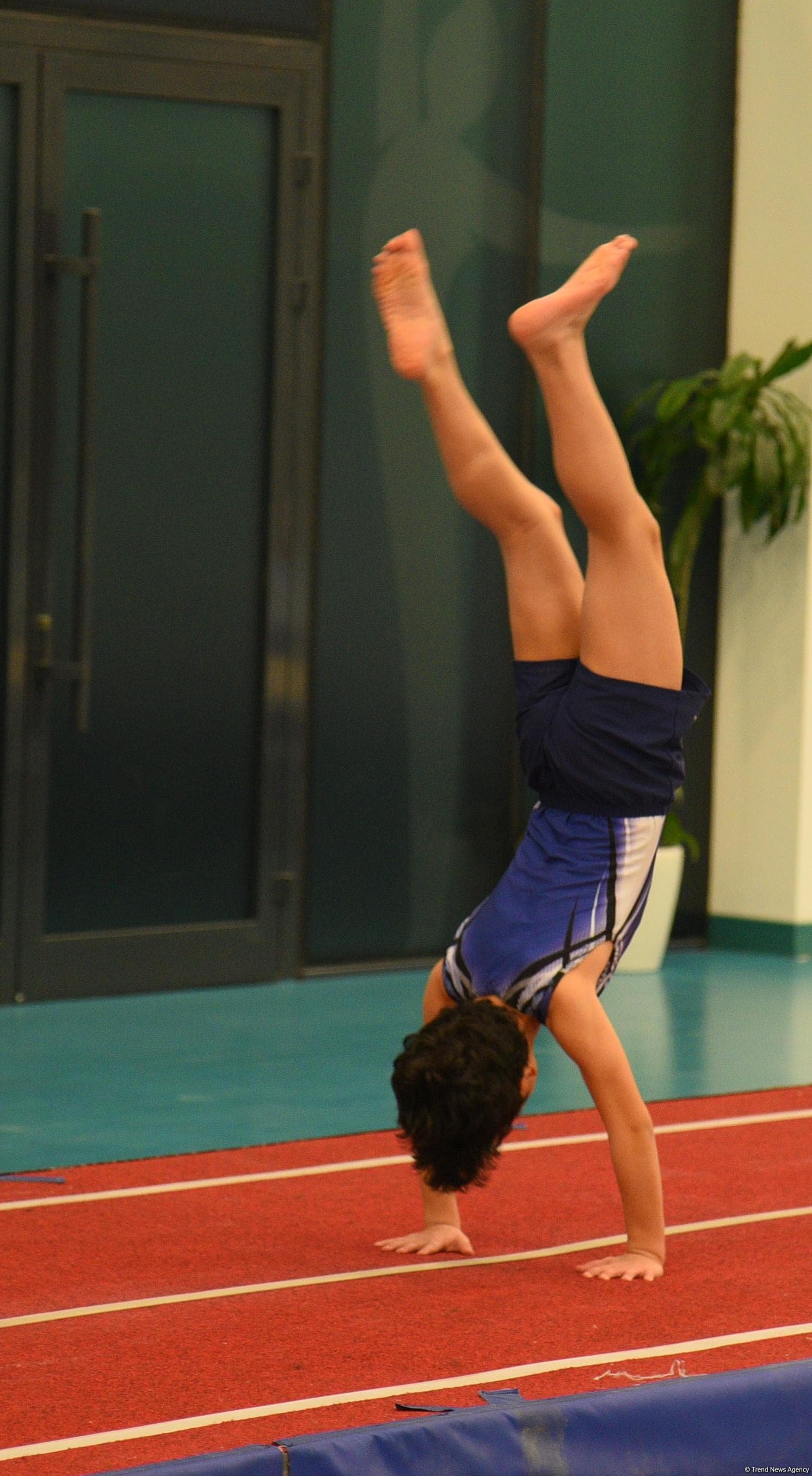 Trampoline and tumbling championships kick off in Azerbaijan's Baku (PHOTO)