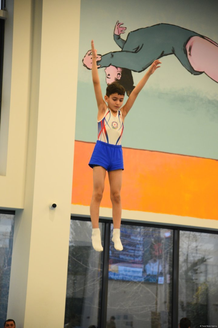 Trampoline and tumbling championships kick off in Azerbaijan's Baku (PHOTO)