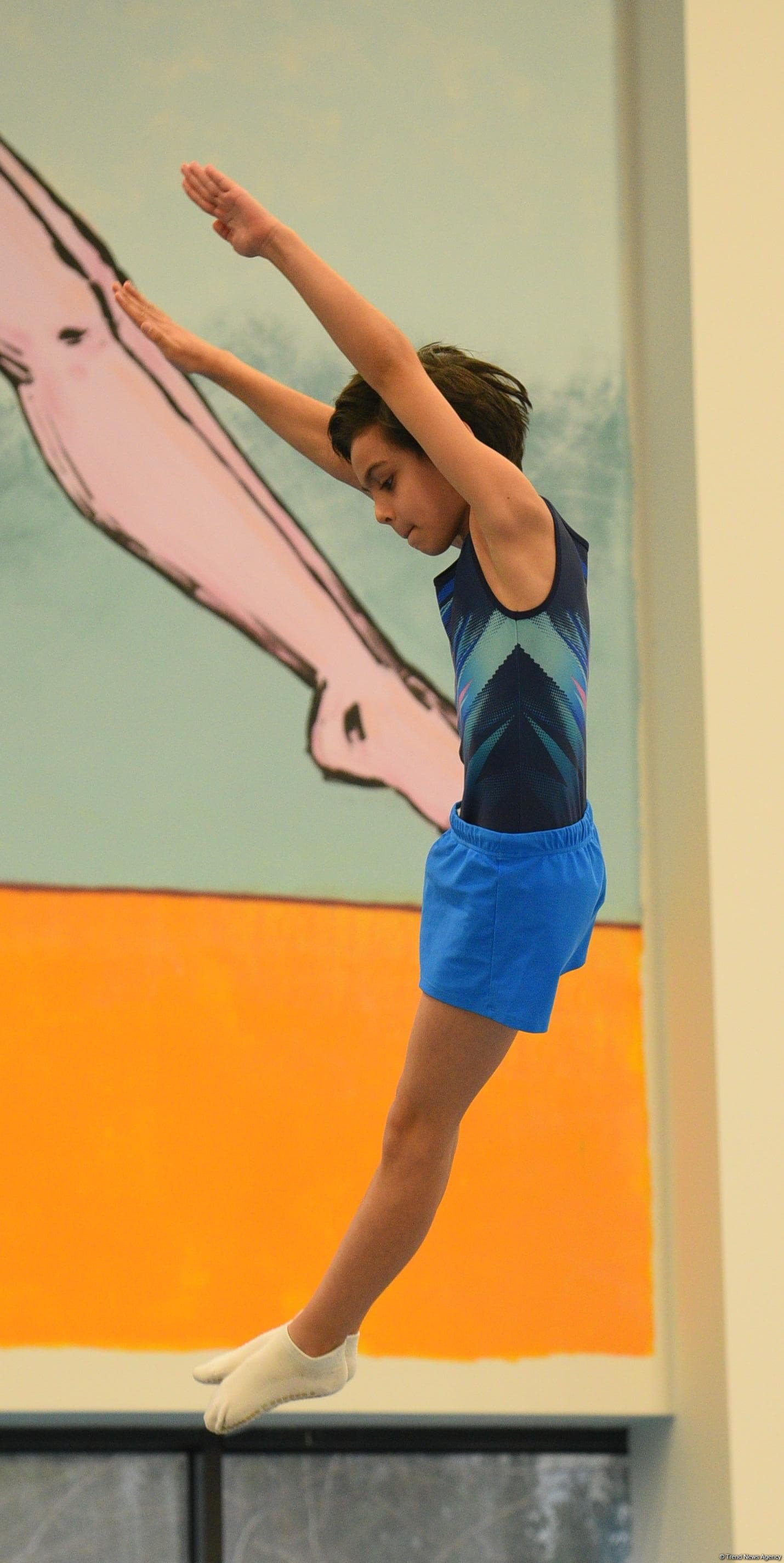 Trampoline and tumbling championships kick off in Azerbaijan's Baku (PHOTO)