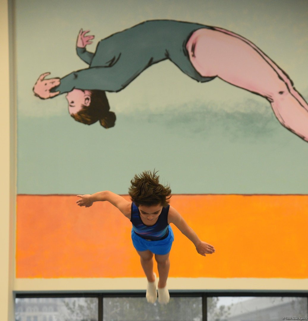 Trampoline and tumbling championships kick off in Azerbaijan's Baku (PHOTO)