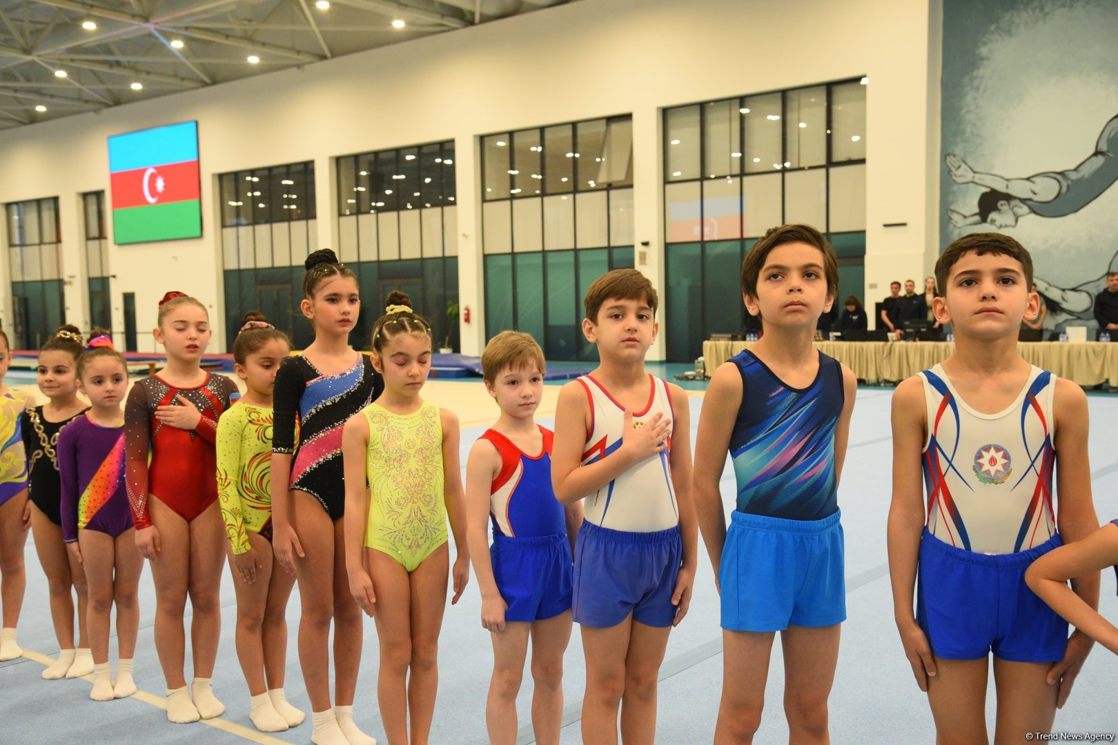 Trampoline and tumbling championships kick off in Azerbaijan's Baku (PHOTO)