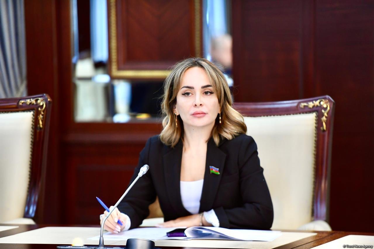 Creation of BIG receives global support as Azerbaijan leads anti-colonial efforts