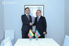FMs of Azerbaijan, Lithuania discuss international security issues (PHOTO)