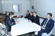 FMs of Azerbaijan, Lithuania discuss international security issues (PHOTO)