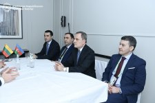 FMs of Azerbaijan, Lithuania discuss international security issues (PHOTO)