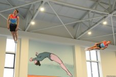 Trampoline and tumbling championship heats up in Azerbaijan's Baku (PHOTO)