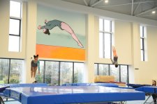 Trampoline and tumbling championship heats up in Azerbaijan's Baku (PHOTO)