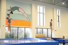 Trampoline and tumbling championship heats up in Azerbaijan's Baku (PHOTO)
