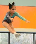 Trampoline and tumbling championship heats up in Azerbaijan's Baku (PHOTO)
