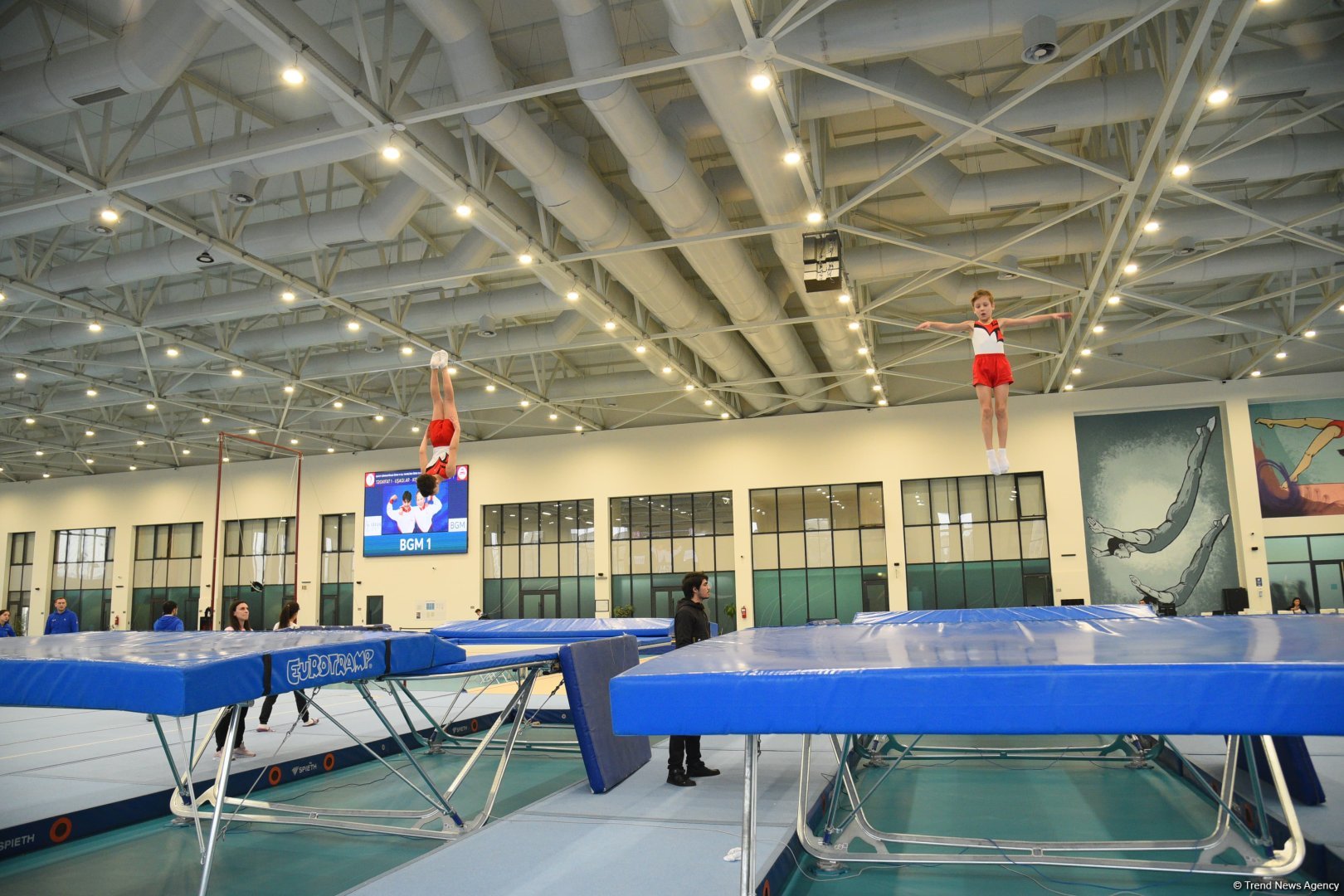 Trampoline and tumbling championship heats up in Azerbaijan's Baku (PHOTO)