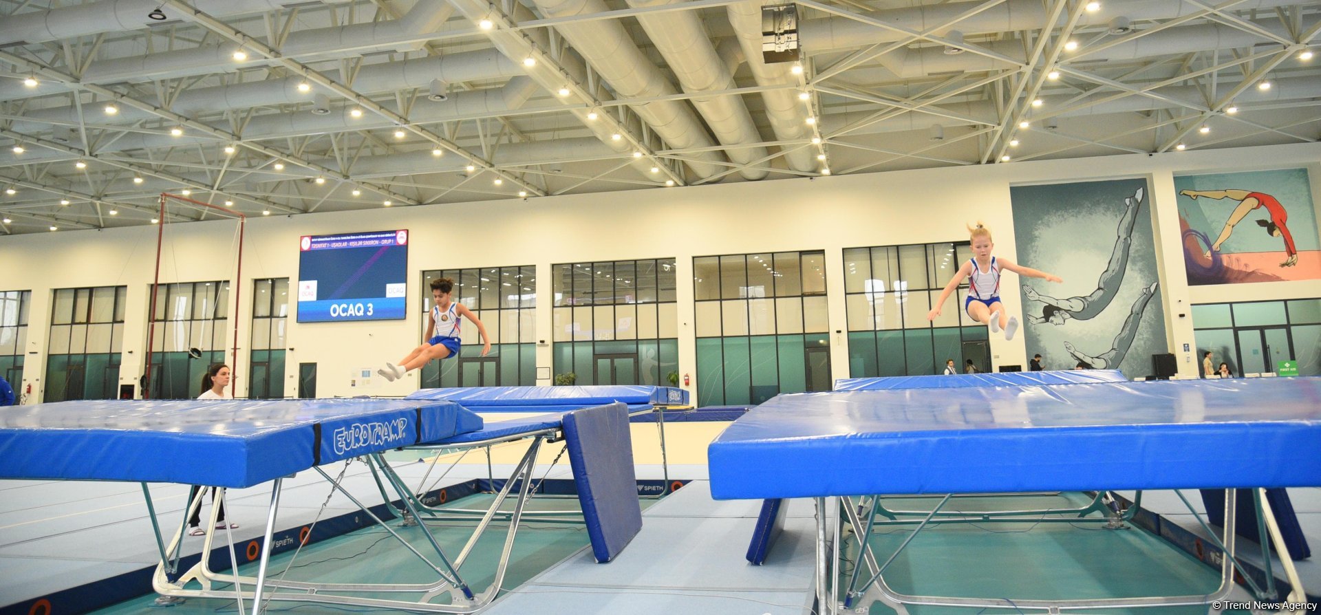 Trampoline and tumbling championship heats up in Azerbaijan's Baku (PHOTO)